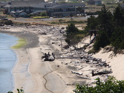 [A low-tide view of the expanse of sand and the wood/logs pushed against the short hill side.]